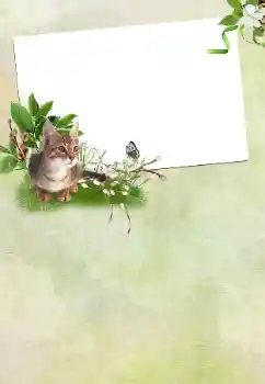 Foto Effekt från kategori Olika helgdagar № 167762