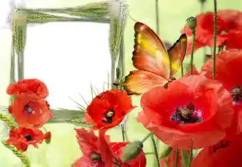 Inskriptionen på ramen: Victory in Europe Day