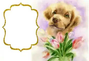 Foto Effekt från kategori Olika helgdagar № 190529 Foto Effekt från kategori Olika helgdagar № 190529