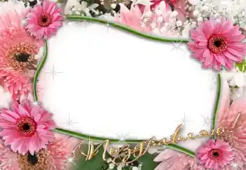 Inskriptionen på ramen: Grattis! Inskriptionen på ramen: Grattis!