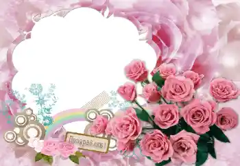 Inskriptionen på ramen: Grattis! Inskriptionen på ramen: Grattis!