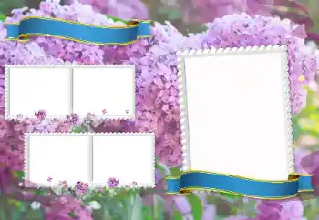 Foto Effekt från kategori Andra skolor № 205350 Foto Effekt från kategori Andra skolor № 205350