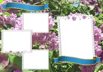 Foto Effekt från kategori Andra skolor № 205360 Foto Effekt från kategori Andra skolor № 205360