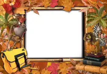 Foto Effekt från kategori Andra skolor № 4735 Foto Effekt från kategori Andra skolor № 4735