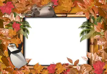 Foto Effekt från kategori Andra skolor № 4736 Foto Effekt från kategori Andra skolor № 4736