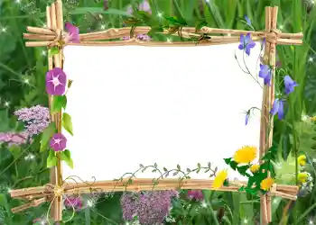 Foto Effekt från kategori Sommar № 1001 Foto Effekt från kategori Sommar № 1001