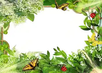 Foto Effekt från kategori Sommar № 1109 Foto Effekt från kategori Sommar № 1109