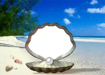 Foto Effekt från kategori Sommar № 1111 Foto Effekt från kategori Sommar № 1111