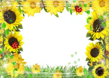 Foto Effekt från kategori Sommar № 1113 Foto Effekt från kategori Sommar № 1113