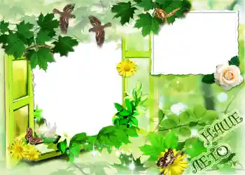 Foto Effekt från kategori Sommar № 1120