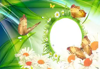 Foto Effekt från kategori Sommar № 112110