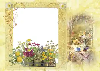 Foto Effekt från kategori Sommar № 1121