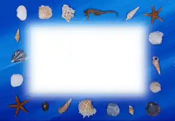 Foto Effekt från kategori Sommar № 113121