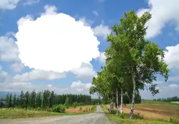 Foto Effekt från kategori Sommar № 114245 Foto Effekt från kategori Sommar № 114245