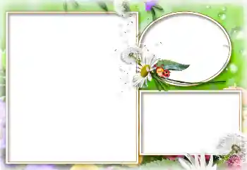 Foto Effekt från kategori Sommar № 114273 Foto Effekt från kategori Sommar № 114273