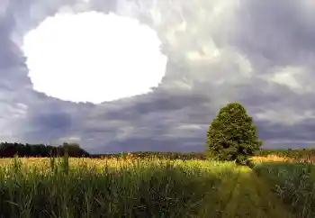 Foto Effekt från kategori Sommar № 114385 Foto Effekt från kategori Sommar № 114385