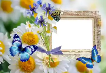 Foto Effekt från kategori Sommar № 114393 Foto Effekt från kategori Sommar № 114393