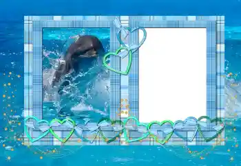 Foto Effekt från kategori Sommar № 114439