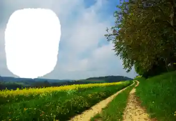 Foto Effekt från kategori Sommar № 114551 Foto Effekt från kategori Sommar № 114551