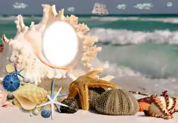 Foto Effekt från kategori Sommar № 115806 Foto Effekt från kategori Sommar № 115806