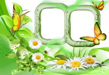 Foto Effekt från kategori Sommar № 115844 Foto Effekt från kategori Sommar № 115844