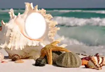 Foto Effekt från kategori Sommar № 116085 Foto Effekt från kategori Sommar № 116085