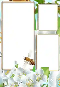 Foto Effekt från kategori Sommar № 116125 Foto Effekt från kategori Sommar № 116125