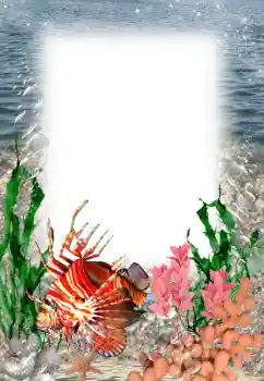 Foto Effekt från kategori Sommar № 121109 Foto Effekt från kategori Sommar № 121109