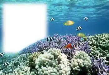 Foto Effekt från kategori Sommar № 121111 Foto Effekt från kategori Sommar № 121111