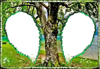 Foto Effekt från kategori Sommar № 123182