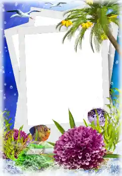 Foto Effekt från kategori Sommar № 124280