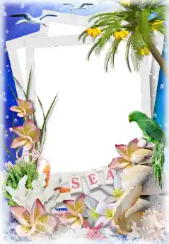 Foto Effekt från kategori Sommar № 124282