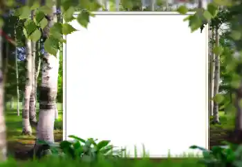 Foto Effekt från kategori Sommar № 128567