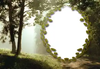 Foto Effekt från kategori Sommar № 130985