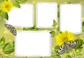 Foto Effekt från kategori Sommar № 131450