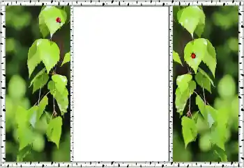 Foto Effekt från kategori Sommar № 132875