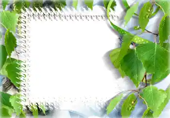 Foto Effekt från kategori Sommar № 132911