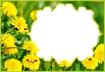 Foto Effekt från kategori Sommar № 132994