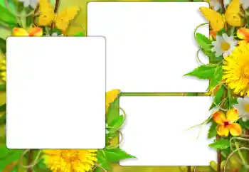 Foto Effekt från kategori Sommar № 138523