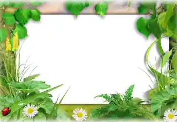 Foto Effekt från kategori Sommar № 138647