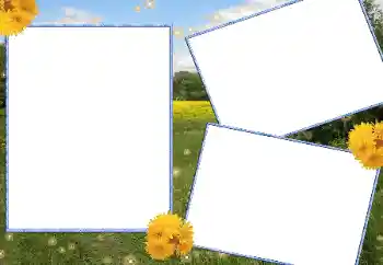 Foto Effekt från kategori Sommar № 13915 Foto Effekt från kategori Sommar № 13915