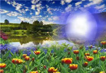 Foto Effekt från kategori Sommar № 13960