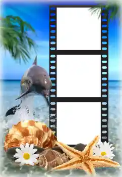 Foto Effekt från kategori Sommar № 142225