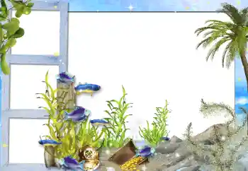 Foto Effekt från kategori Sommar № 142298