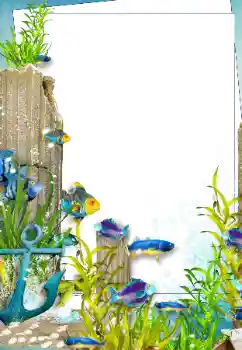 Foto Effekt från kategori Sommar № 142303