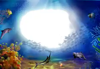 Foto Effekt från kategori Sommar № 142470