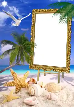 Foto Effekt från kategori Sommar № 1471