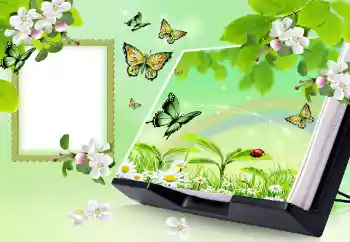 Foto Effekt från kategori Sommar № 150647