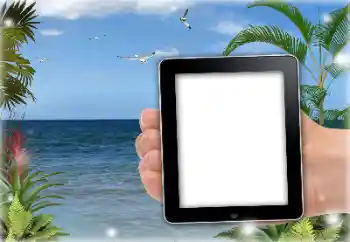 Foto Effekt från kategori Sommar № 151651