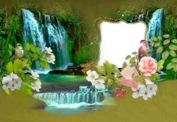 Foto Effekt från kategori Sommar № 153156